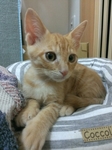 20160114005748155.jpg