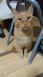 20160114005801861.jpg