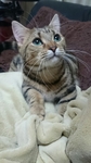 20160114005956045.jpg